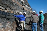SUPPLIER OF COAL, Type A, B, C COKING COAL, COKE THERMAL COAL, ANTHRACIT