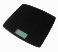 Electronic Bathroom Scale BWR-002