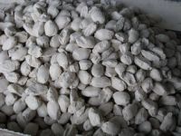 Caustic Calcined Magnesite