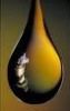 CRUDE DEGUMMED SOYBEAN OIL