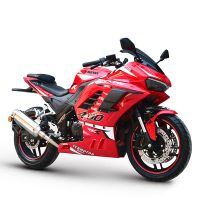 Sports motorcycle RZM250D-2B