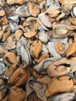 Mussel Meat
