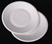biodegradable plate From China