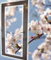 Aluminum Door