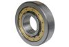 Cylindrical Roller Bearing