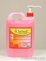 Terlans Industrial Hand Cleaner