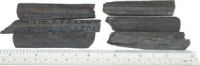 Softwoods Charcoal