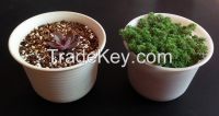 cheap resin homeflower bonsai plastic pot