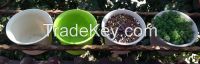 plastic plant nursery pot for succulent