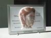 3D anatomical chart 002