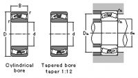 Auto Bearings