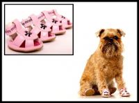 Designer Pet Accessories From Australia