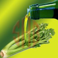 Celery Oil