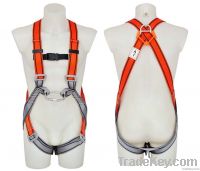 Safety Harness - 2 D Ring, Model#DHQS102