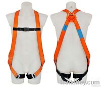 Safety Harness - 2 D Ring, Model#DHQS069