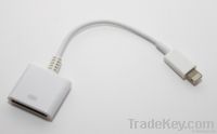 Lightning 8 Pin to 30 Pin Adapter Date Cable for iphone 5 ipad mini