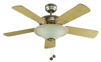 ceiling fan1