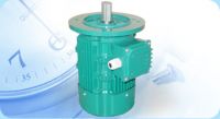 Three-Phase Induction Motor