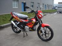 New Designed Cub Model