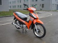 Big Storage Box CUB Model
