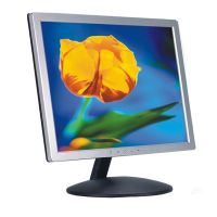 17'' LCD monitor