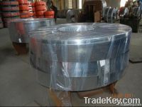 Galvanized Steel  Coils