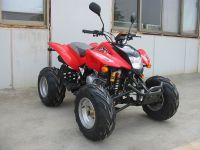 250CC WATER COOLED  EEC ATV