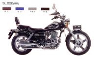MOTORCYCLE-SL250T