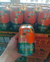 Guangdong Haoqiao Fruit Juice beverega
