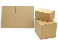 Shipping Box