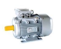 Electric Motor