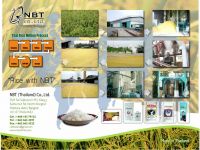 Rice, Canned Fish