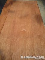 FSC rotary sapele veneer