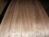 American Black Walnut Veneer