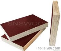 Film Faced Plywood ( Brown, Formwork )