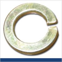 Spring Washers