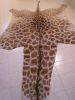 giraffe skin