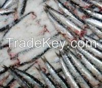 Anchovies Salted