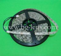 5050 60 led cool white waterproof led strip