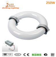 induction light 20W 30W 40W 100W 150W 200W 250W 300W 400W