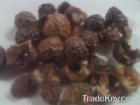 Agriculture other Nuts & Kernels