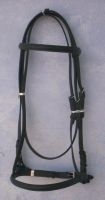 Racing bridle