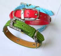 China Personalized Dog collar