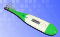 Flexible Digital Thermometer