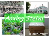 stevia extract Reb-A98%