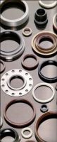 Oil Seals