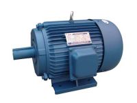 three phase motor (Y series)