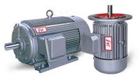 Y series three-phase induction motor