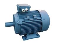 Y2 Series Three phase induction motor