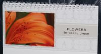 2010 Desktop Calendar Yellow & Peach